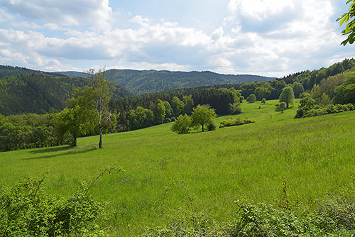 Schwarzburg im Thüringer Wald